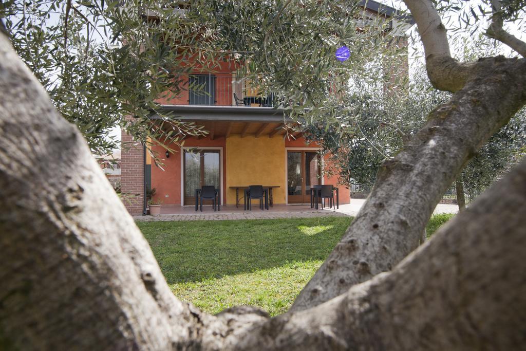 Agriturismo Le Sigalette Salionze Exteriér fotografie